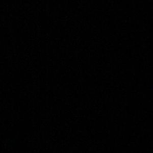 Meet your Posher, Bailey